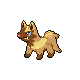0261Poochyena DP Shiny.png (1 KB) Poochyena's Pokémon Diamond Version and Pokémon Pearl Version Shiny sprite