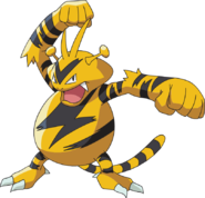 125Electabuzz AG anime