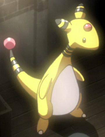 Nikola S Ampharos Pokemon Wiki Fandom Nikola S Ampharos Pokemon Wiki Fandom