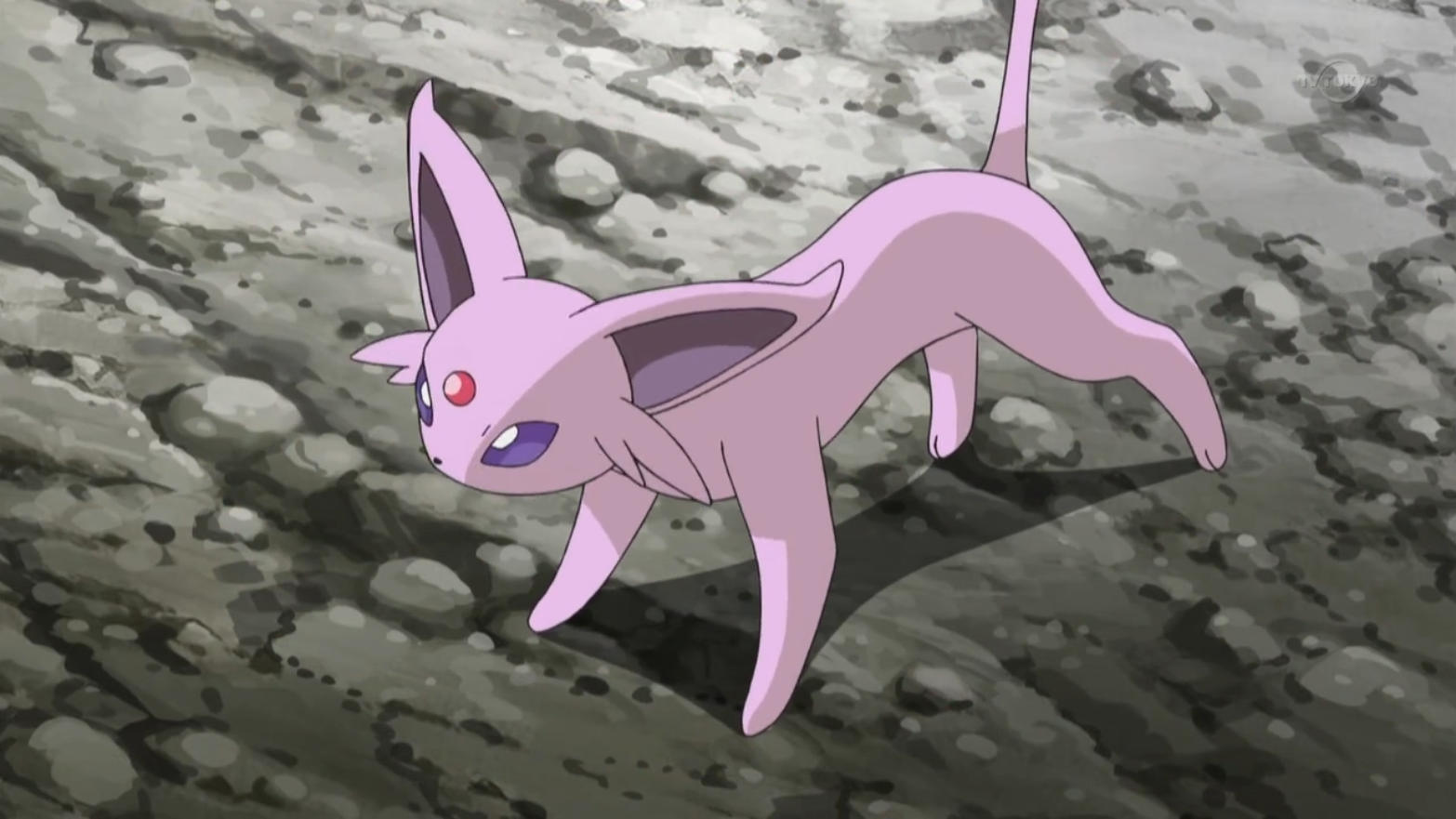 ♪~ Espeon ~☆, Wiki