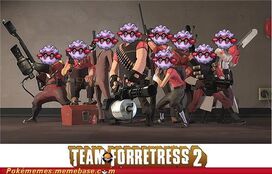 TeamForretress