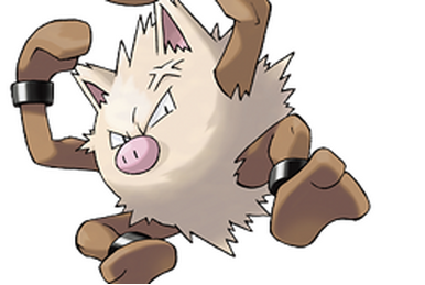 Hitmonlee (Pokémon), Pokemon Aventurine Wiki