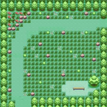 Pokémon Crater