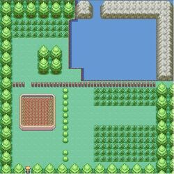 Pokémon Crater