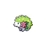 Shiny Shaymin (DP Sprite) Showcase  Mint green paints, Shiny pokemon,  Pokemon art