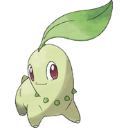 chikorita