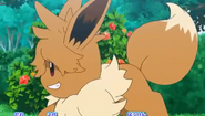 Ash Eevee