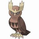 Noctowl