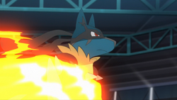 Carter S Lucario Forever Pokefanon Fandom