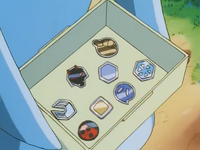 Ash Johto Badges