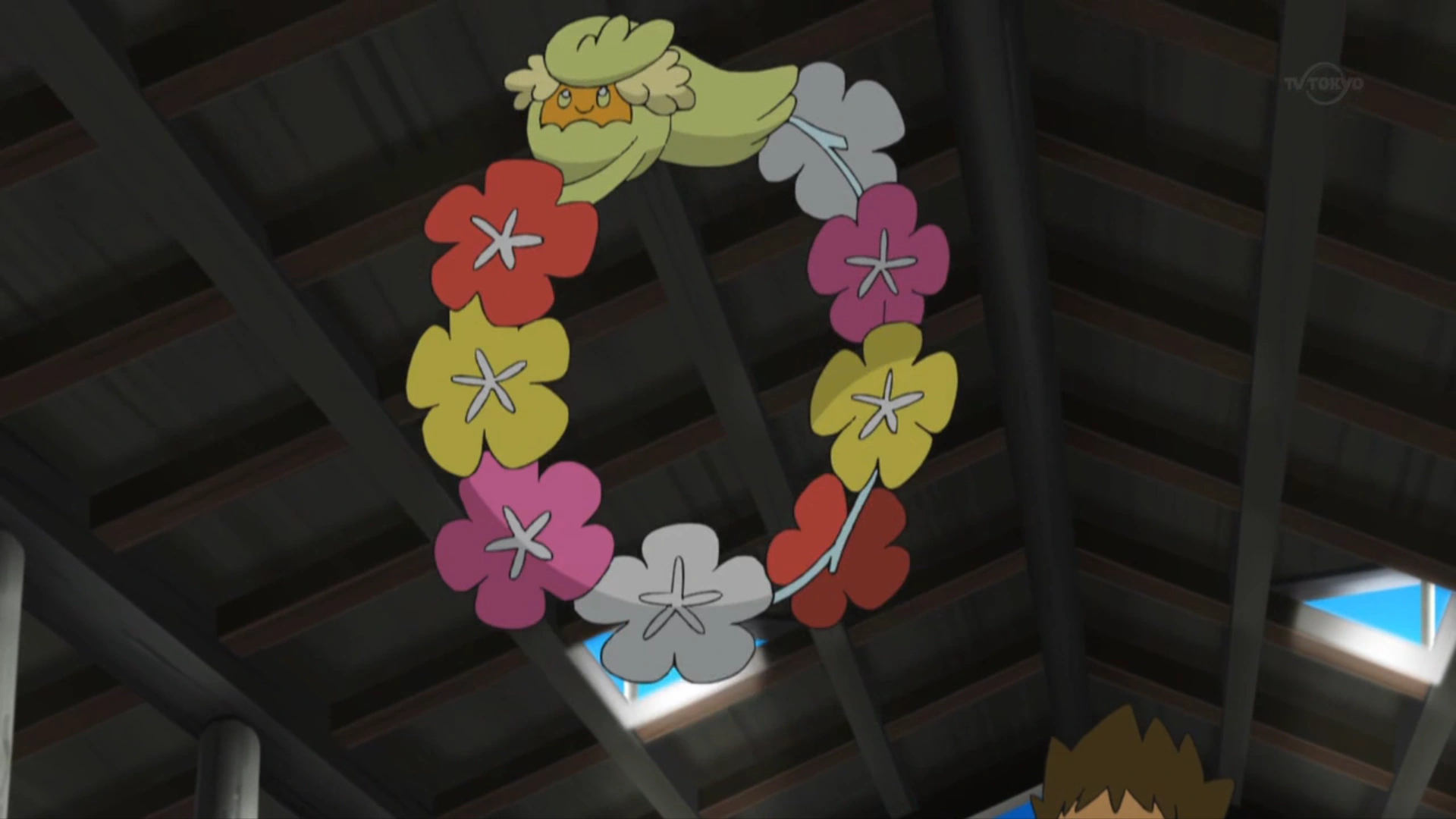 Brock S Comfey Forever Pokefanon Fandom