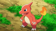 Robyn's Charmeleon