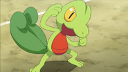 EP879 Treecko de Scottie