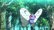 Ash Butterfree M20 