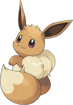 Female Eevee