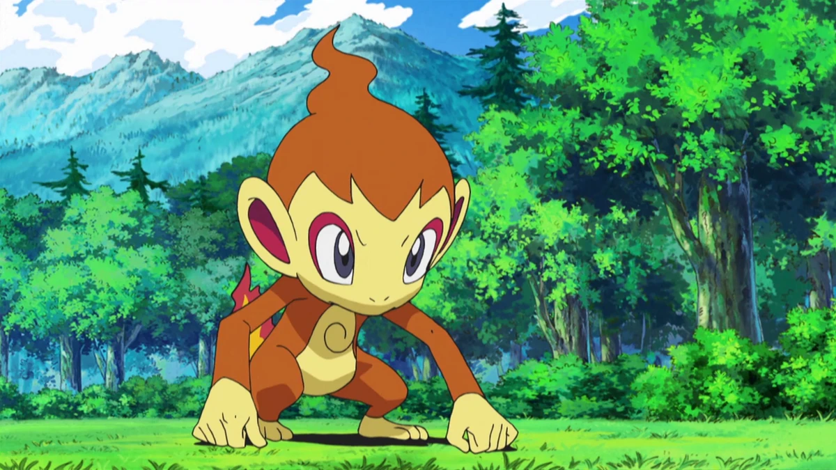 Ash's Infernape (Forever) | PokéFanon | Fandom