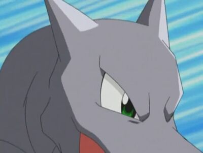 This is Nia, my aerodactyl from Pokémon X. She has The jolly