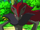 Arsène, Rufous' Zoroark