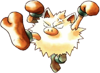 Ash S Primeape To Melt Fire Pokefanon Fandom