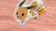 Edge's Eevee using Quick Attack