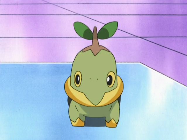 Turtwig, Rockman Pokémon Uni-Pedia Wiki