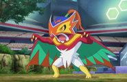 Hawlucha's costume