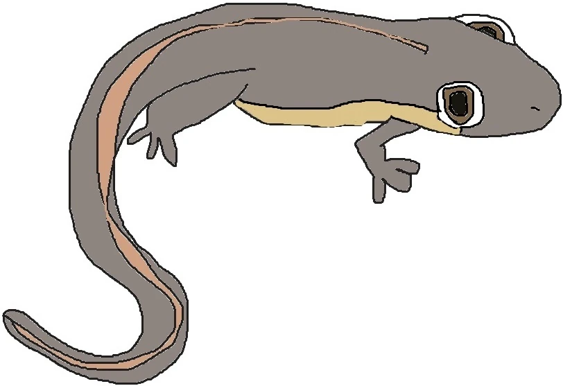 pokemonfanon.fandom.com