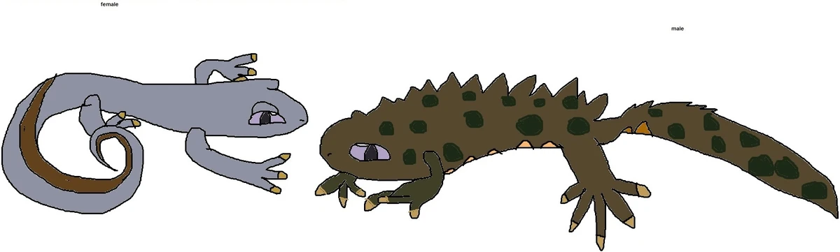 pokemonfanon.fandom.com