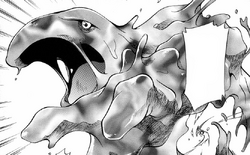 Ash S Muk Forever Pokefanon Fandom Ash S Muk Forever Pokefanon Fandom