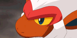 Bella S Infernape Pokefanon Fandom
