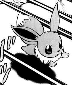 Ash S Eevee Acp Pokefanon Fandom