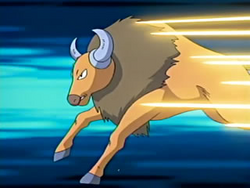 Ash S Tauros Tom S Version Pokefanon Fandom