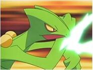 Sceptile de John