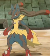 Storm's Mega Lucario