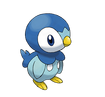 Piplup