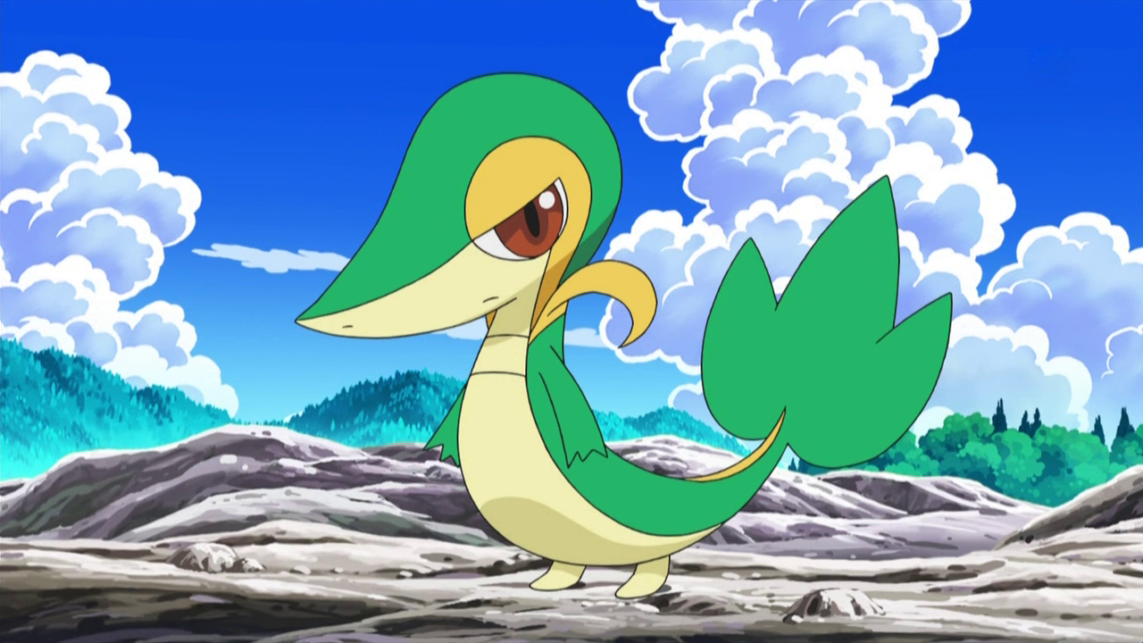 Pin by Super Pettway1996 on Snivy  Pokemon Reaction pictures Anime