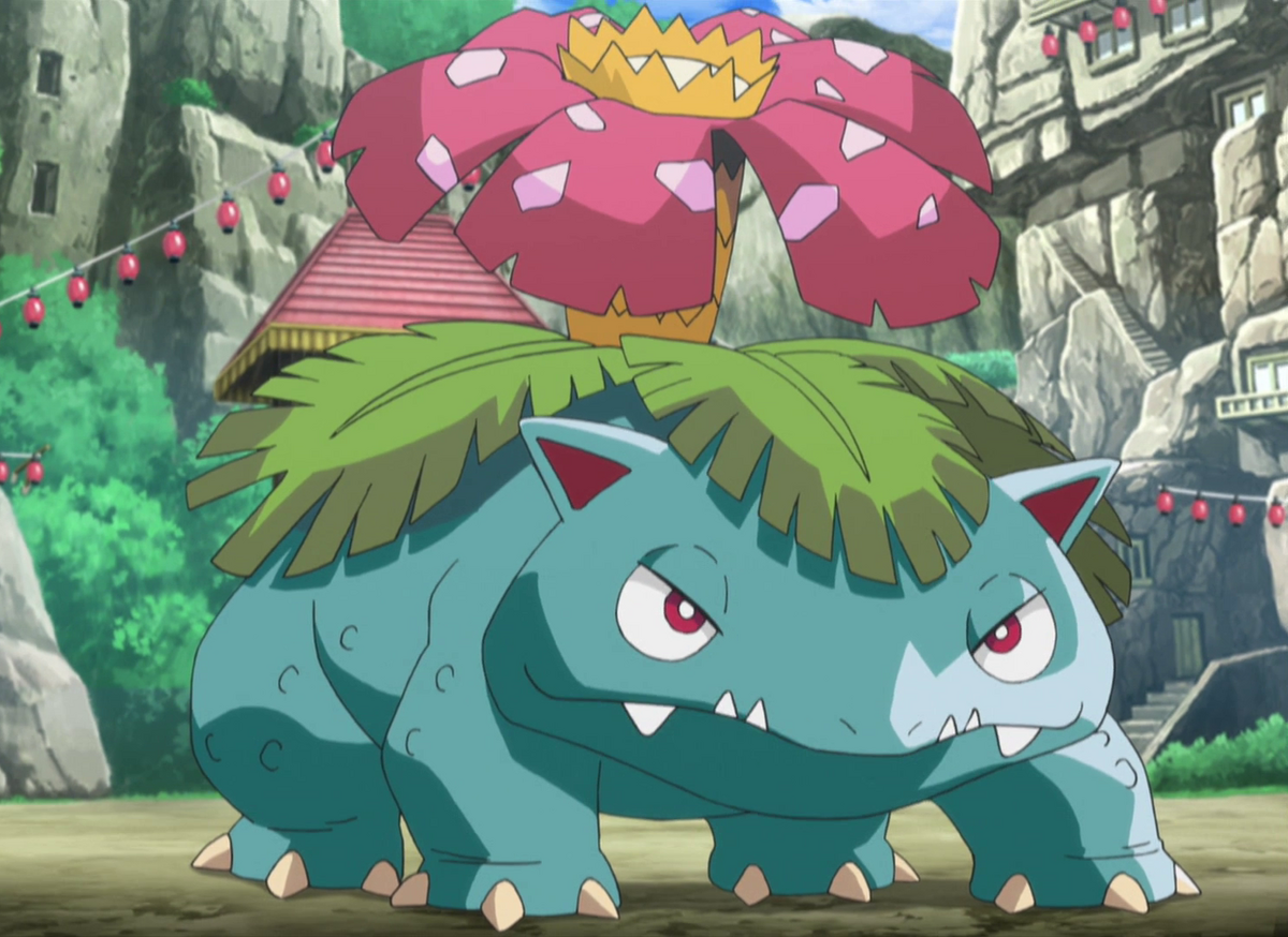 Sydney's Venusaur | PokéFanon | Fandom