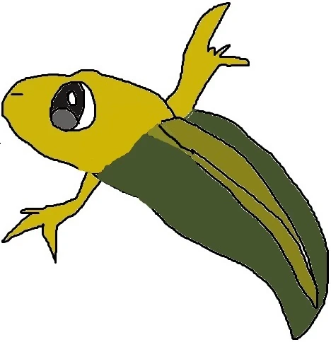 pokemonfanon.fandom.com