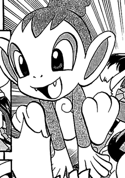 Ash S Infernape Spirit Pokefanon Fandom
