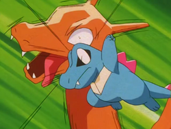 totodile laughs at totodile's scary face attack 