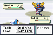 Tailkip Vs. Mewfour riding on a Possessed Swellow