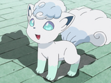 Mary's Vulpix