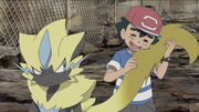 Ash cuddling Tyr's tail.png
