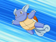 May Wartortle