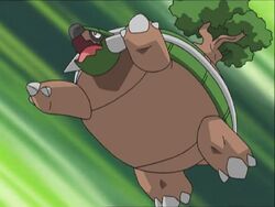 Thert S Torterra Pokefanon Fandom