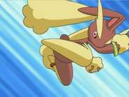 Paris Lopunny Bounce