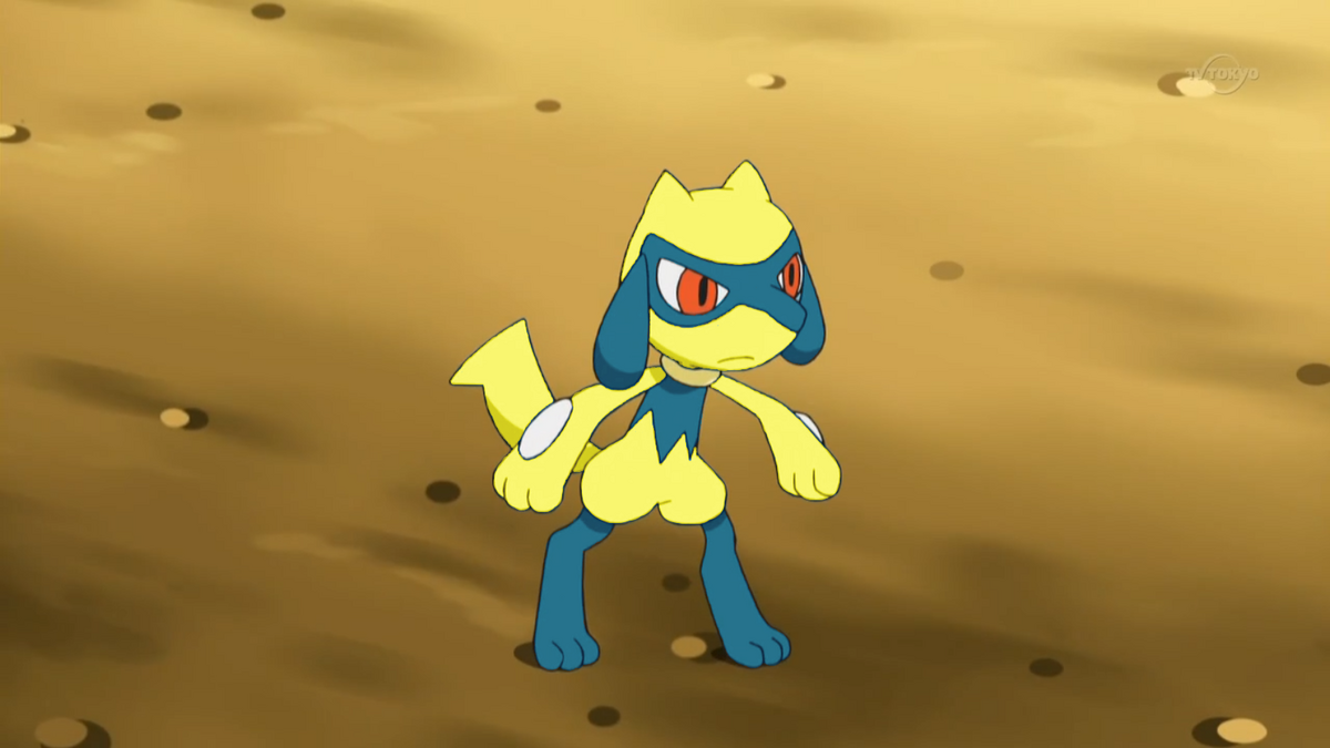 Shiny Riolu, Lucario from Shiny Treasure ex! 