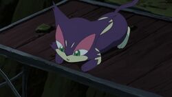 Pokémon Moves Database — Night Slash Purrloin's claws turn a whitish...