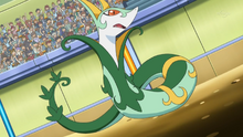 Storm's Serperior