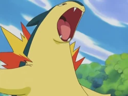 2016 Pokémon Hanafuda Typhlosion